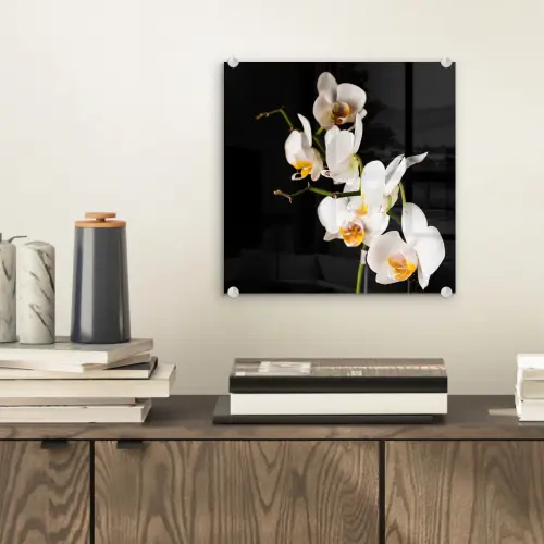 Orchidee - Bloemen - Planten - Botanisch plexiglas 5mm klein -sfeer1