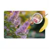 Sierlijke - Vlinder - Paarse - Bloemen Placemat vinyl groot -zzzproduct_Kitchenyeah-website