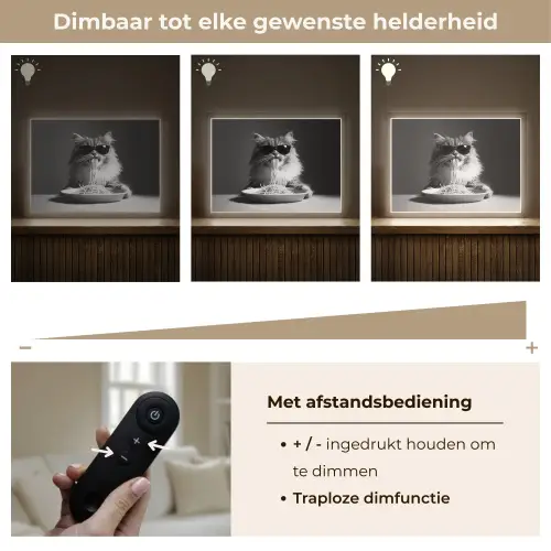 Langharige kat - Zonnebril - Spaghetti - Humor - Zwart - wit Light Box met batterij (Wandlamp) middel -USP_dimbaarNL