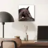 Portret - Paard - Elegant aluminium wit klein -sfeer5