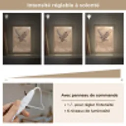 Buizerd - Roofvogel - Natuur - Bruin Light Box met kabel (Kinderlampje) klein -USP_dimbaarFR