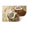 Kokosnoot - Water - Beige - Spetters Muursticker klein -3d