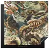Vintage - Kunst - Ernst Haeckel - Salamanders - Dieren Inductie beschermer vinyl 3mm middel -3d