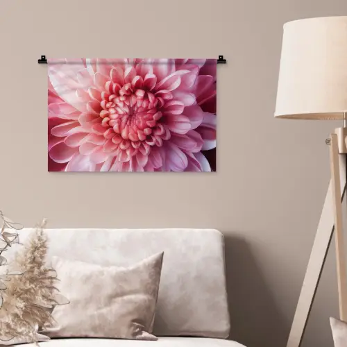 Dahlia - Bloem - Close up - Roze Wandkleed katoen klein -sfeer4