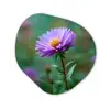 Aster - Paars - Bloem - Blaadjes Wandcirkel Organisch Forex 3mm klein -3d