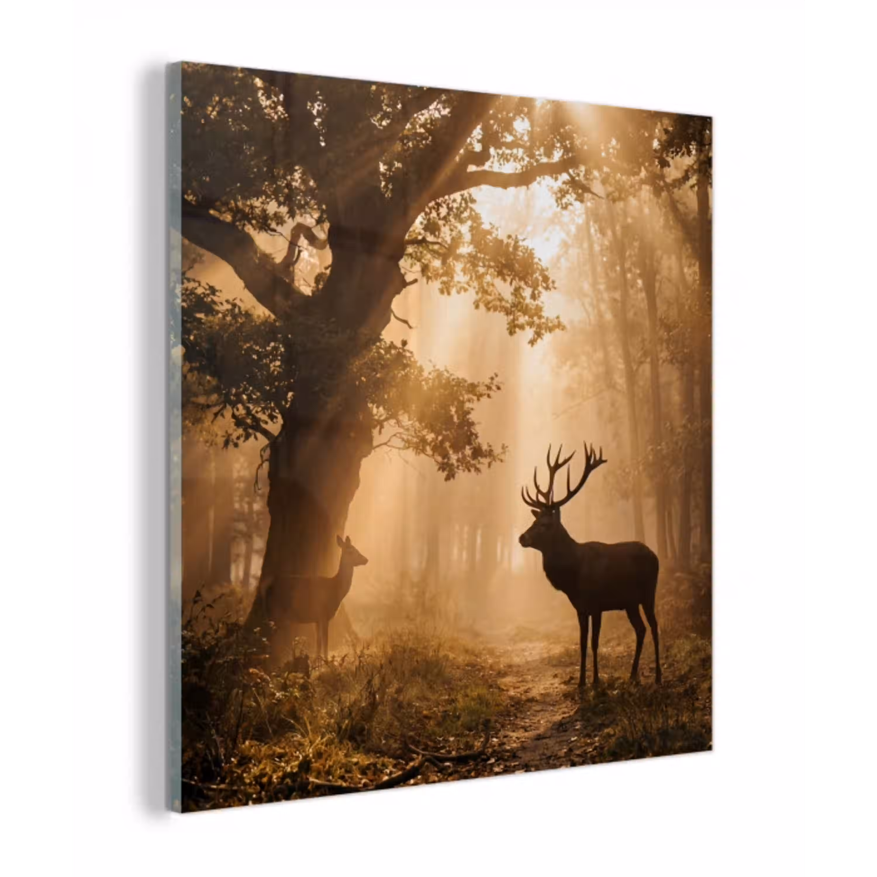 Hert - Bos - Mistig - Natuur - Goud plexiglas 5mm klein -z3d