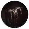 Krachtig - Paard - Donker Wandcirkel kunststof plaat 5mm dik klein -3d