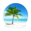 Palmboom - Strand - Zee - Zomer Wandcirkel kunststof plaat 5mm dik klein -3d