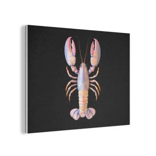 Kreeft - Roze - Zacht - Zwart PET vilt klein -3d