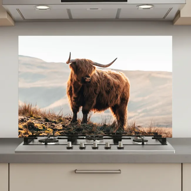 Schotse hooglander - Dieren - Landelijk - Landschap - Koe - Natuur keuken achterwand spatscherm klein -3d_website