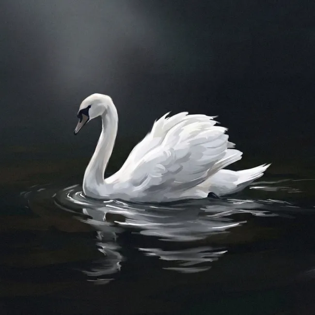 Behang - Zwaan - Water - Natuur - Realistisch - Wit
