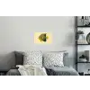 Felgeel - Vis - Strepen - Vinnen Muursticker klein -slaapkamer