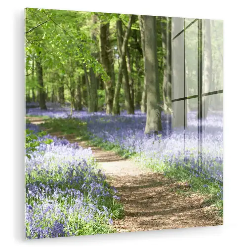 Bos - Pad - Bloemen - Paars - Groen - Natuur plexiglas 5mm klein -zzzproduct_nieuw