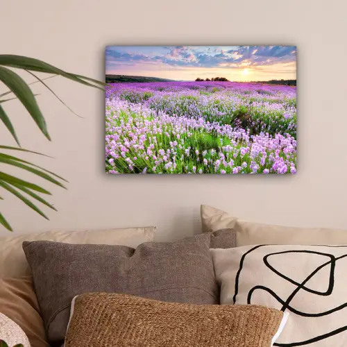 Lavendel - Bloemen - Zonsondergang - Paars - Weide canvas 2cm klein -sfeer1