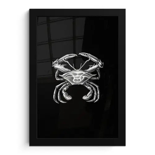 Ernst Haeckel - Krab - Oude meesters - Vintage - Dieren - Kunst fotolijst zwart zonder passe partout klein -3d