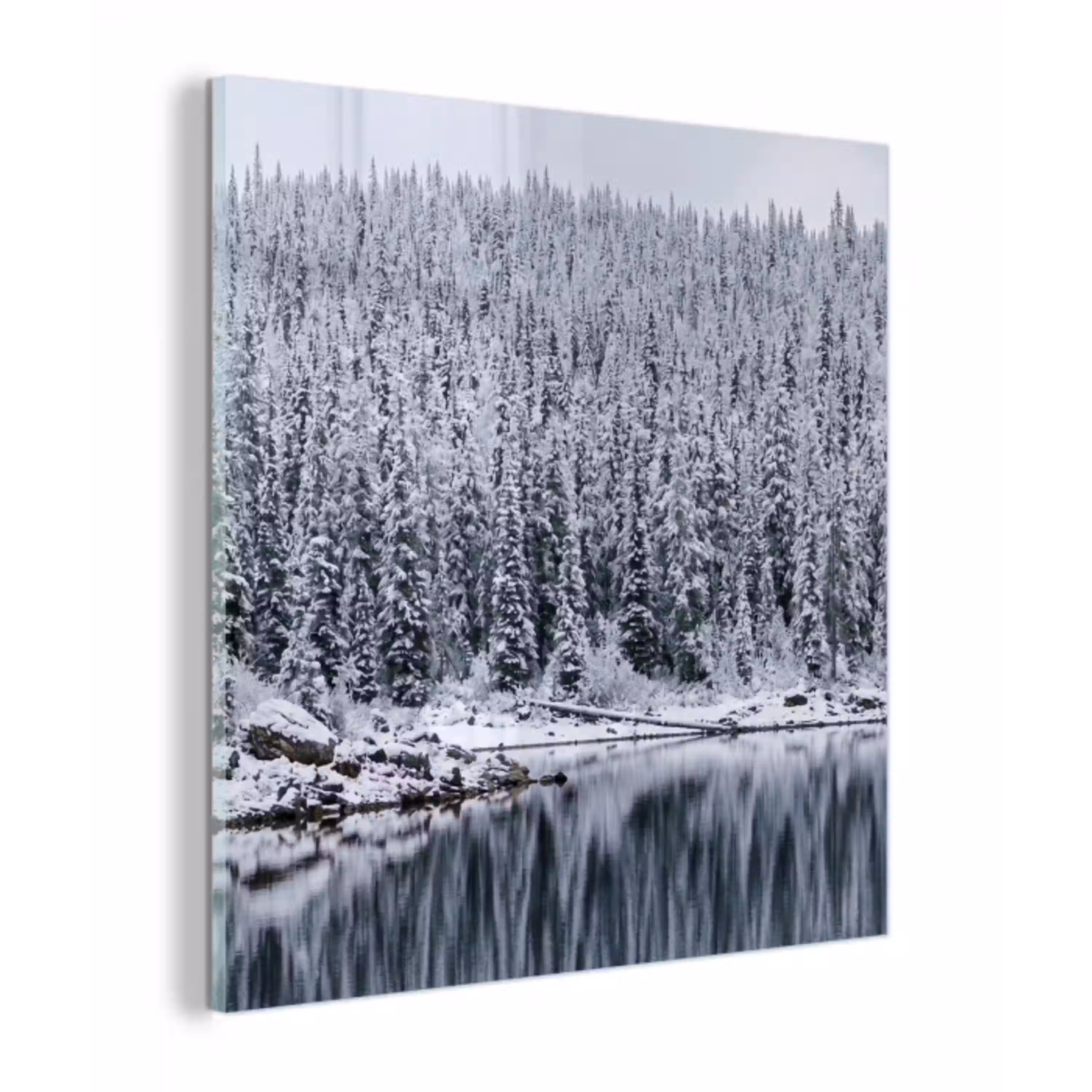 Bos - Reflectie - Meer - Winter - Serene plexiglas 5mm klein -z3d