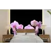 Orchidee - Bloemen - Roze - Flora fotobehang vinyl groot -bed