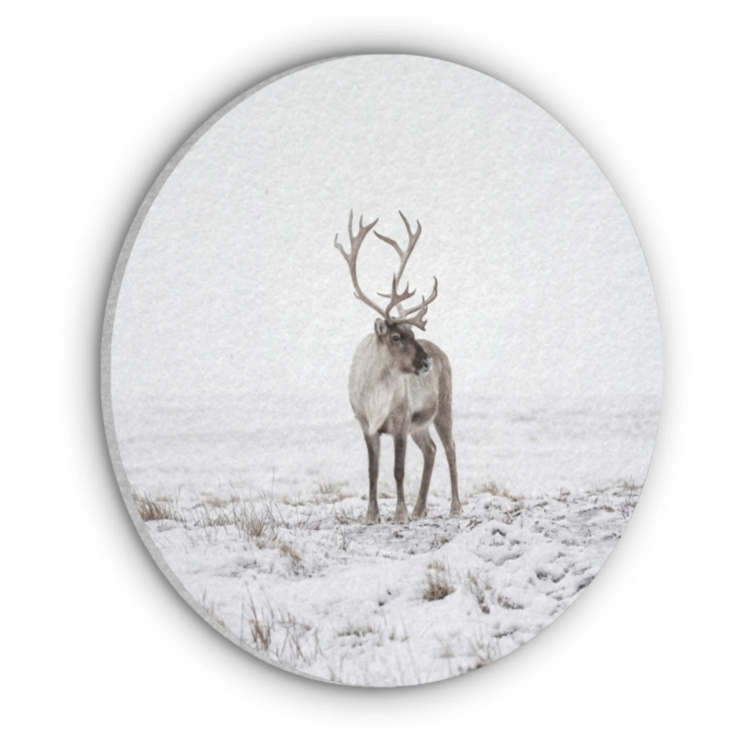 Rendier - Gewei - Sneeuw - Winter Akoestische PET Vilt - Rond klein -3d