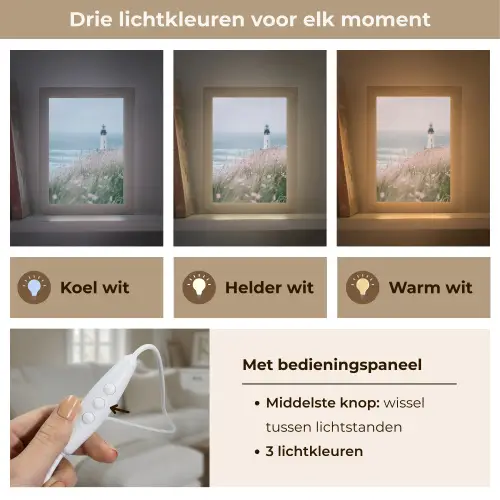Vuurtoren - Klif - Zee - Bloemen Light Box met kabel (Tafellamp) klein -USP_lichtkleurNL