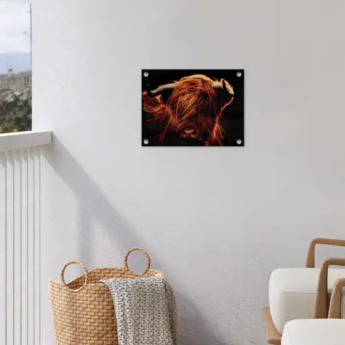 Schotse hooglander - Koe - Hoorns - Portret - Dieren tuinposter los doek klein -sfeer8