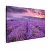 Lavendel - Paars - Bloemen - Veld canvas 2cm klein -z3d