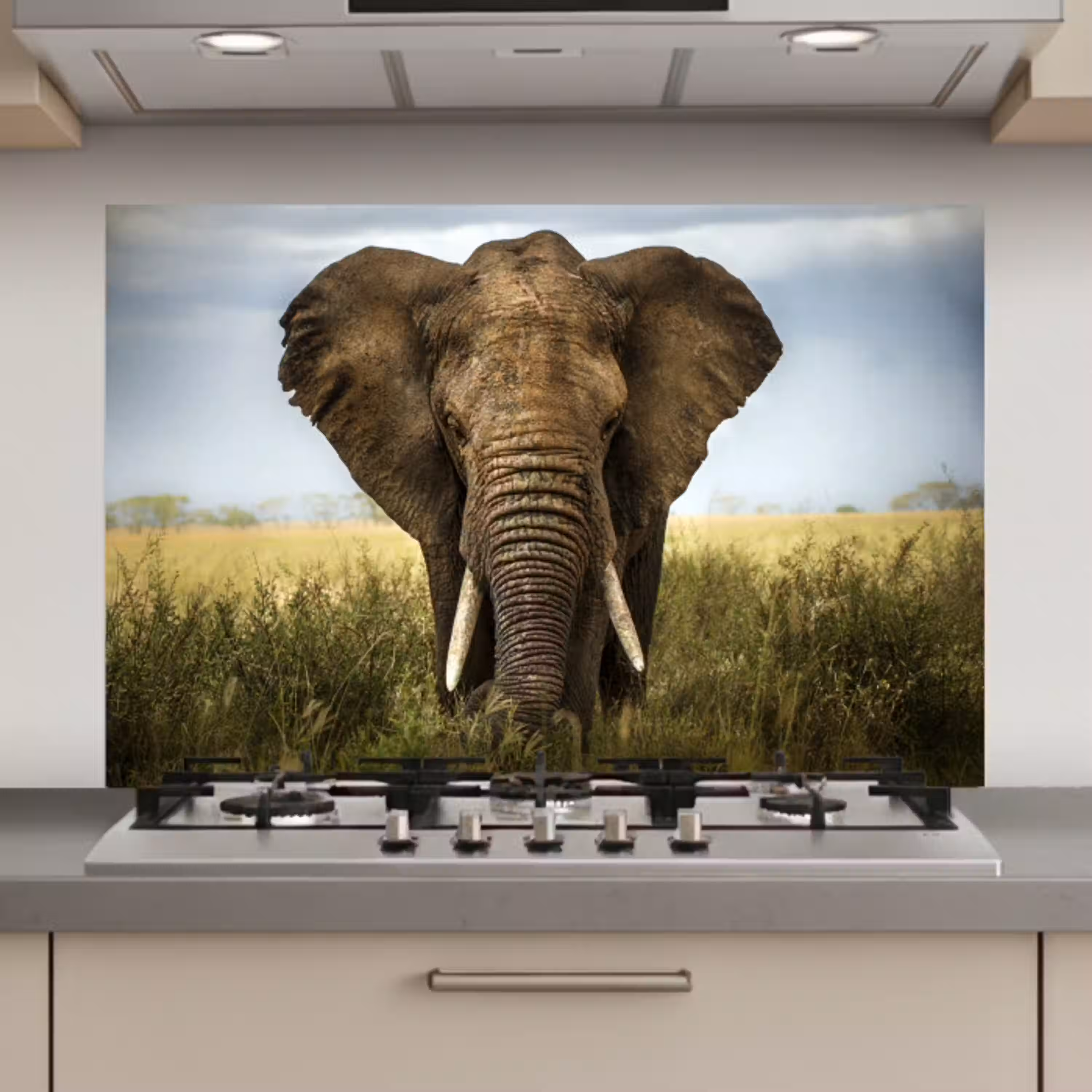 Olifant - Natuur - Gras - Dieren - Landschap keuken achterwand spatscherm klein -3d_website