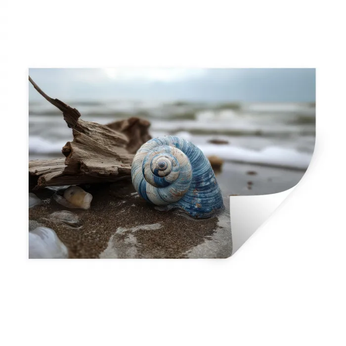 Schelp - Strand - Blauw - Zee Muursticker klein -3d