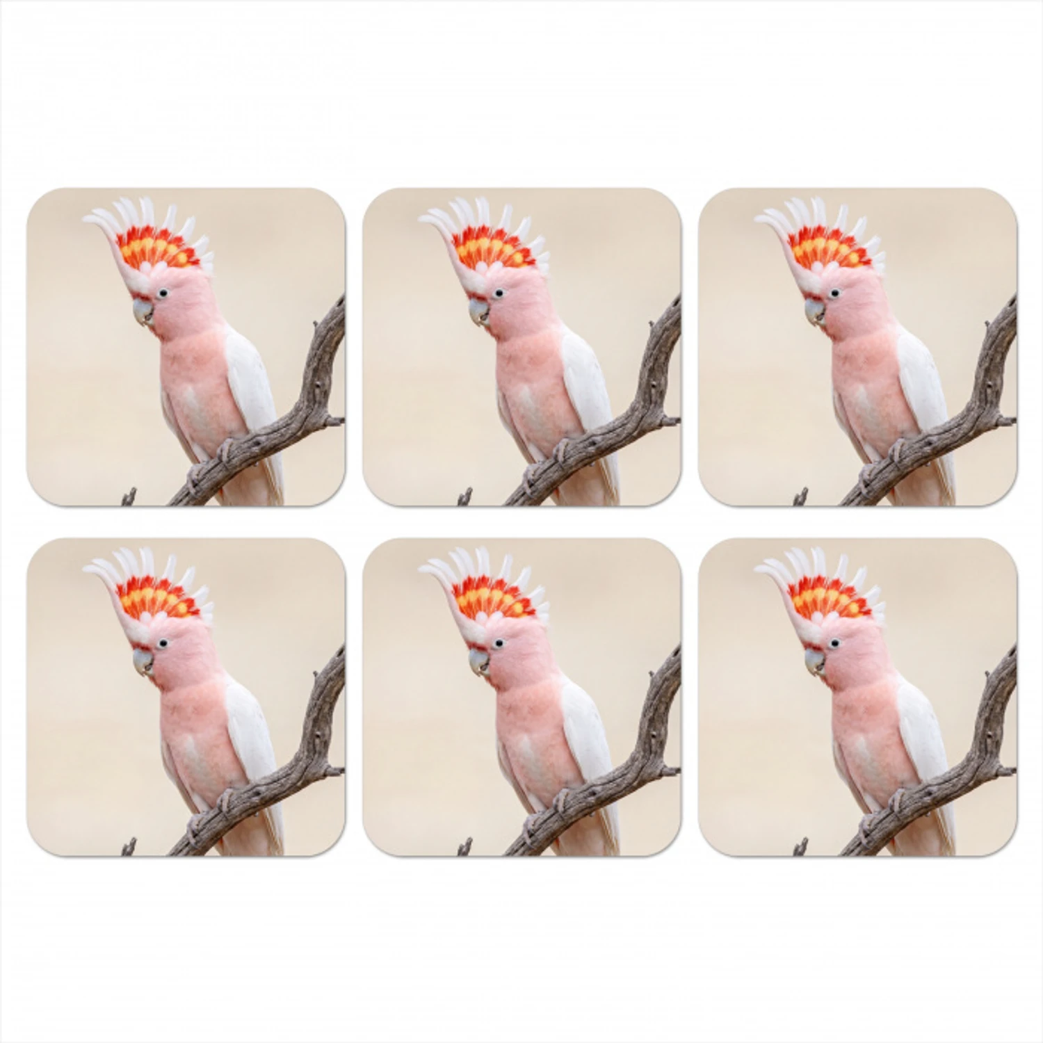 Papagaai - Tak - Roze onderzetter kurk middel -3d