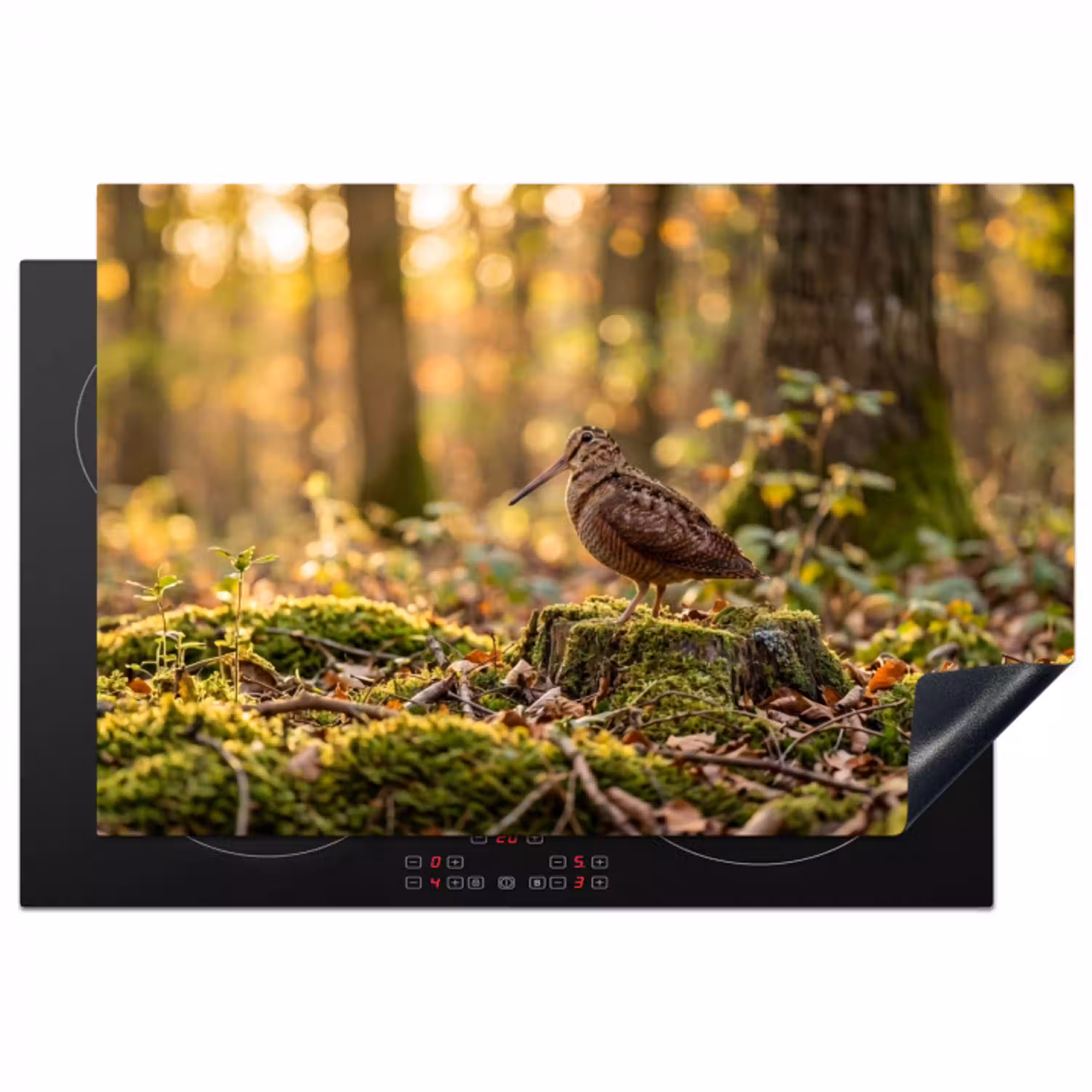 Houtsnip - Bos - Bladeren - Herfst - Gecamoufleerd Inductie beschermer vinyl 3mm klein -3d