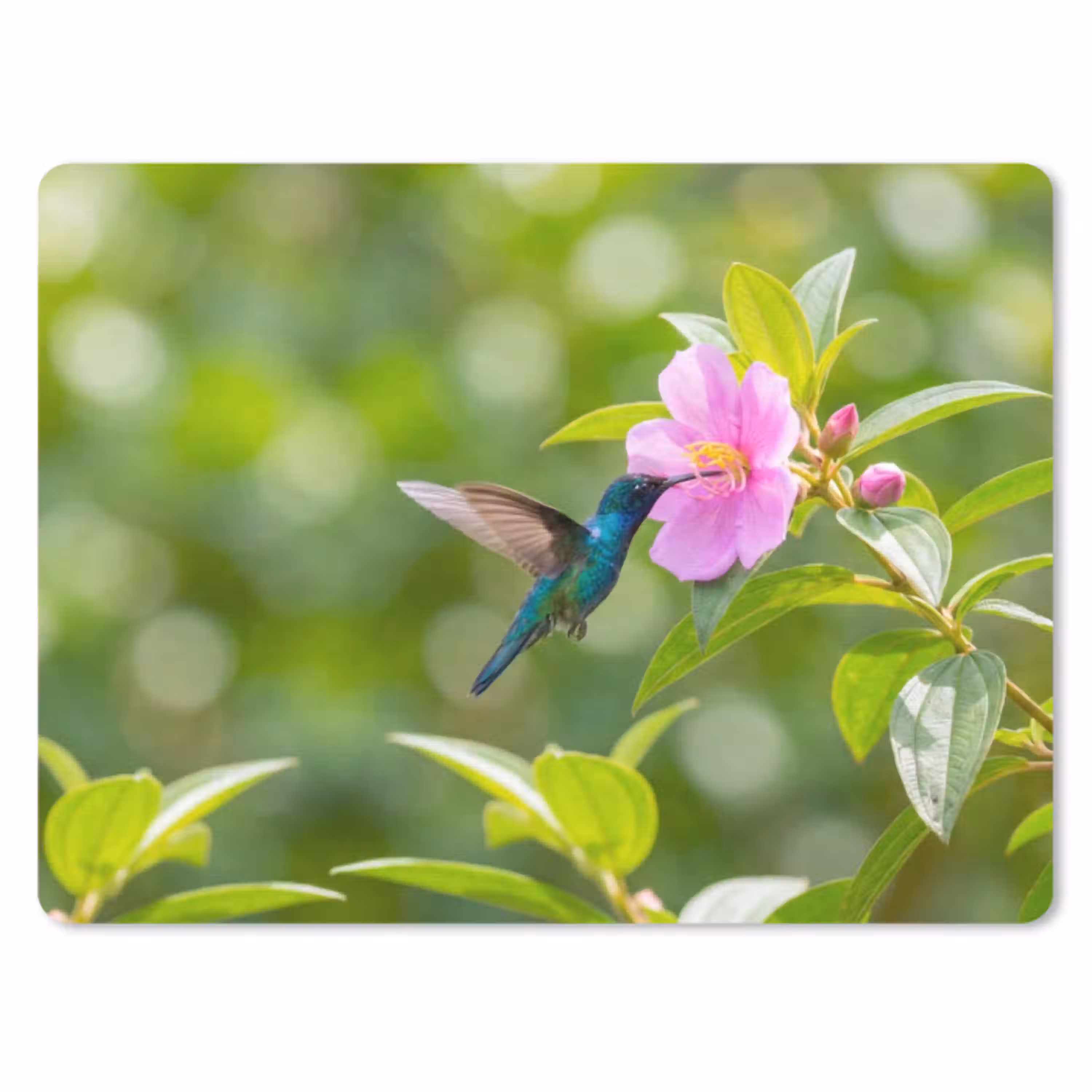 Kolibrie - Bloem - Natuur - Groen muismat rubber klein -3d