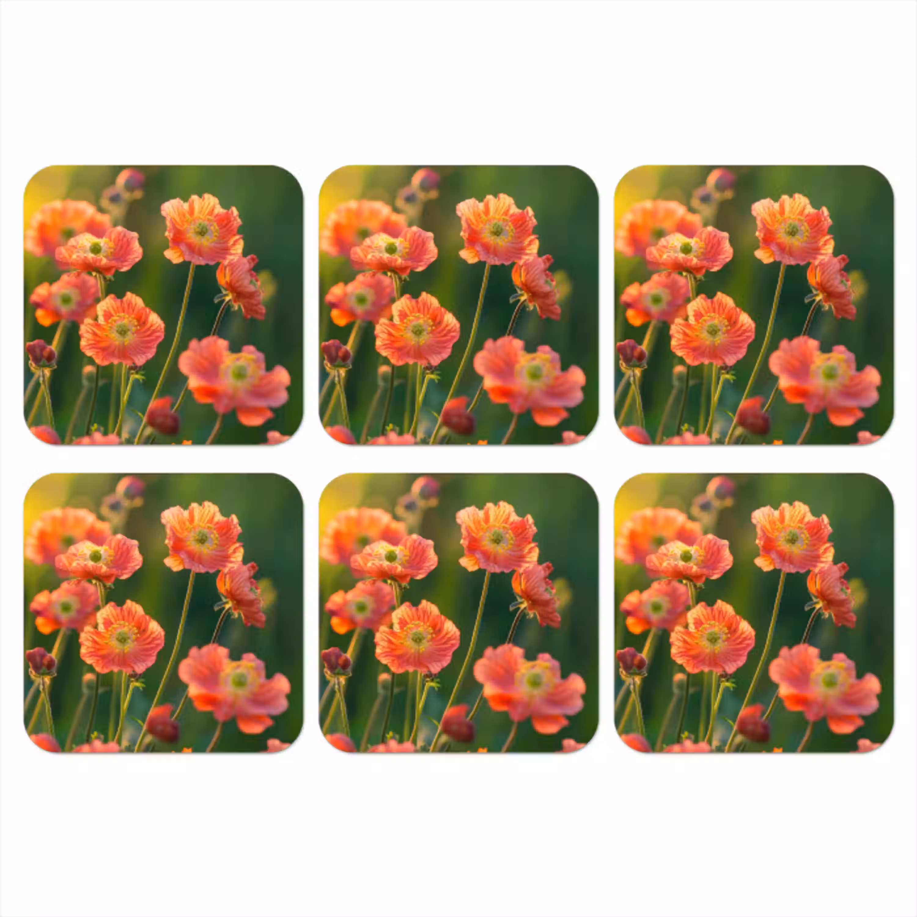 Bloemenveld - Zonnestralen - Oranje onderzetter kurk middel -3d