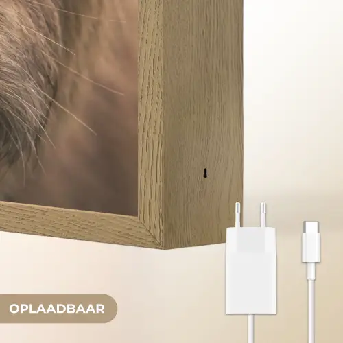 Schotse hooglander - Neus - Bruin Light Box met batterij (Wandlamp) middel -USP_websiteoplaadbaarNL