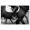 Paard - Sport - Zwart - Wit Placemat vinyl groot -zzsfeer1_Kitchenyeah-website
