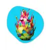 Drakenfruit - Blauw - Levendig Wandcirkel Organisch Forex 3mm klein -3d