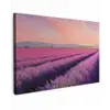 Lavendelveld - Zonsondergang - Paars - Bloemen canvas 2cm klein -z3d