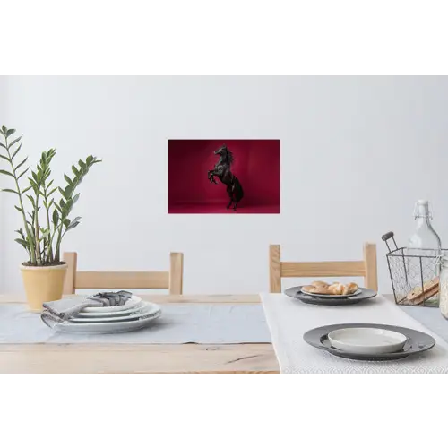 Hengst - Steigert - Rood Muursticker klein -eettafel