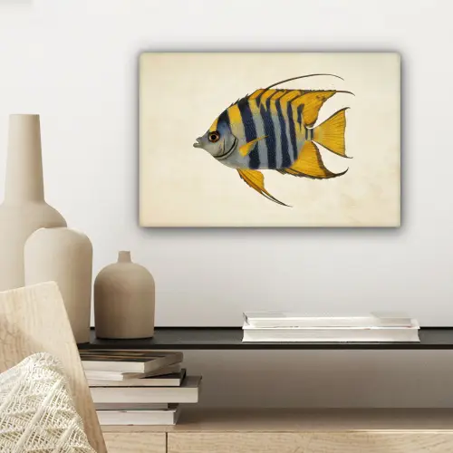 Vis - Sierlijk - Vinnen - Illustratie canvas 2cm klein -sfeer6