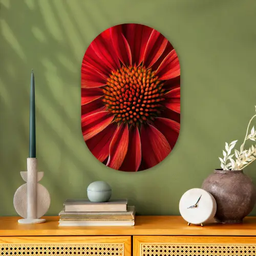 Close up - Bloem- Rood Wandcirkel Ovaal Forex klein -sfeer2