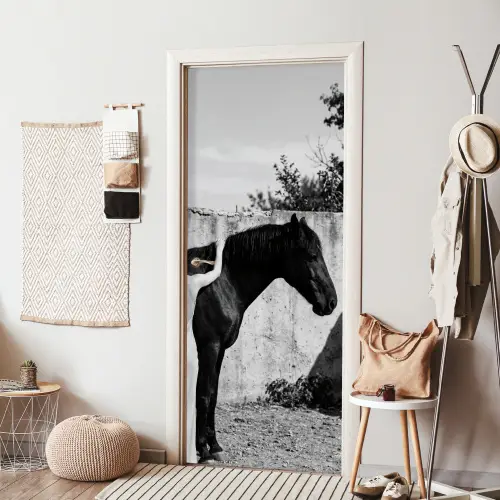 Vrouw - Paard - Artistiek deurposter klein -sfeer6