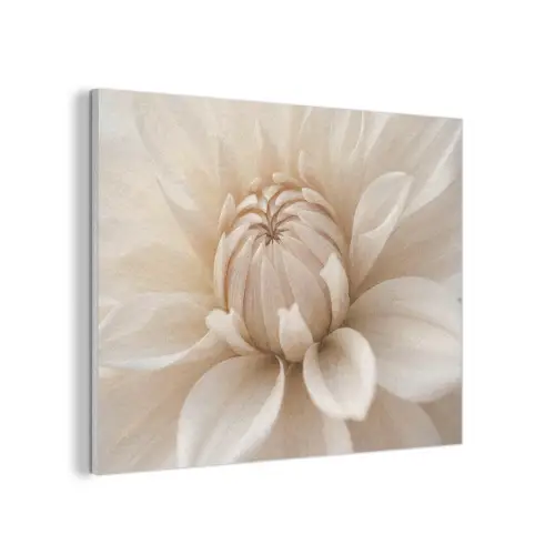 Bloem - Dahlia - Wit PET vilt klein -3d