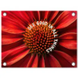 Close up - Bloem - Quote - Rood tuinposter los doek klein -3d