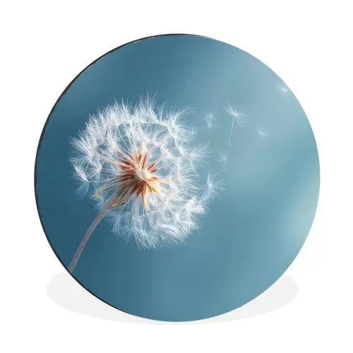 Paardenbloem - Wind - Blauw Wandcirkel aluminium klein -3d