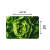 Groente - Sla - Groen Placemat vinyl groot -specs