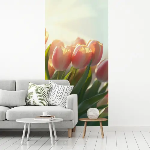 Tulpen - Roze - Zonnestralen fotobehang vinyl groot -woonkamer