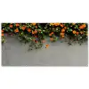 Bloemen - Muur - Oranje Balkonbeschermer Duitsland klein -zz_3d