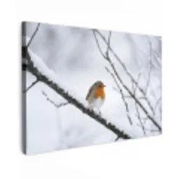 Roodborstje - Tak - Sneeuw - Winter - Levendig canvas 2cm klein -z3d
