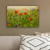 Lente - Bloemen - Rood - Klaproos - Gras - Groen canvas 2cm klein -sfeer3