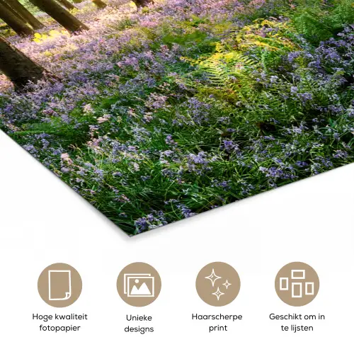 Bos - Bloemen - Lavendel - Zon - Paars - Natuur poster papier klein -closeup_NL