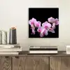 Orchidee - Bloemen - Roze - Flora aluminium wit klein -sfeer1