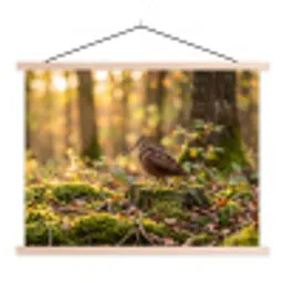 Houtsnip - Bos - Bladeren - Herfst - Gecamoufleerd textielposter latten blank klein -3d